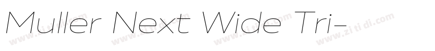 Muller Next Wide Tri字体转换